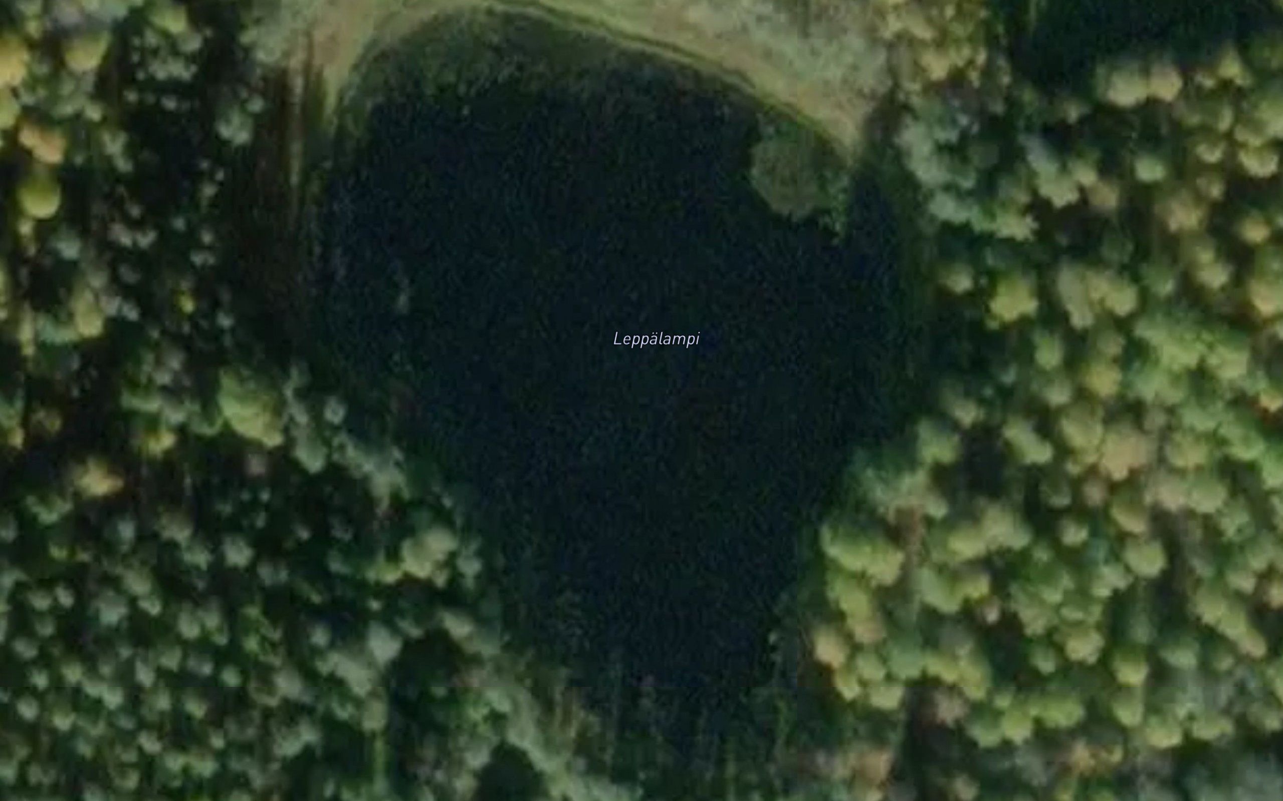 Leppalampi