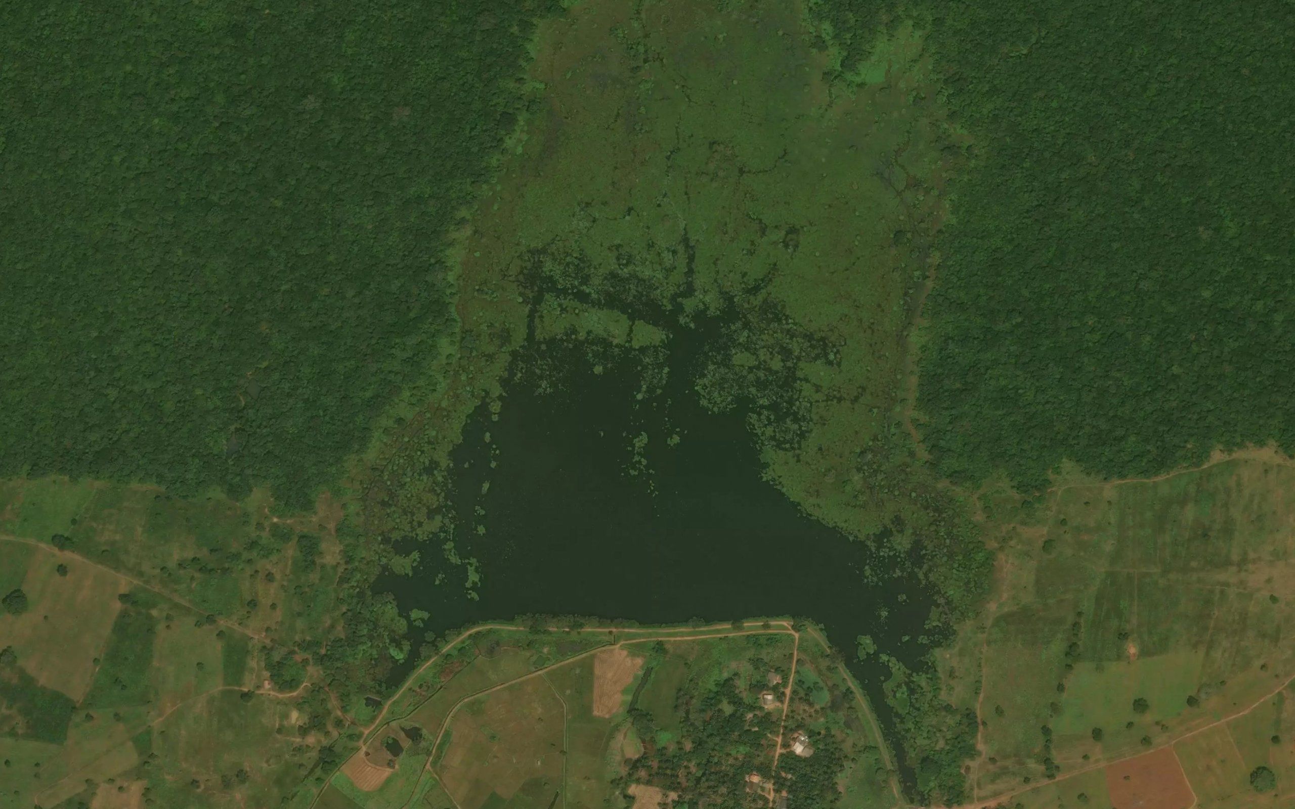 Maha Kumbukgollewa Wewa