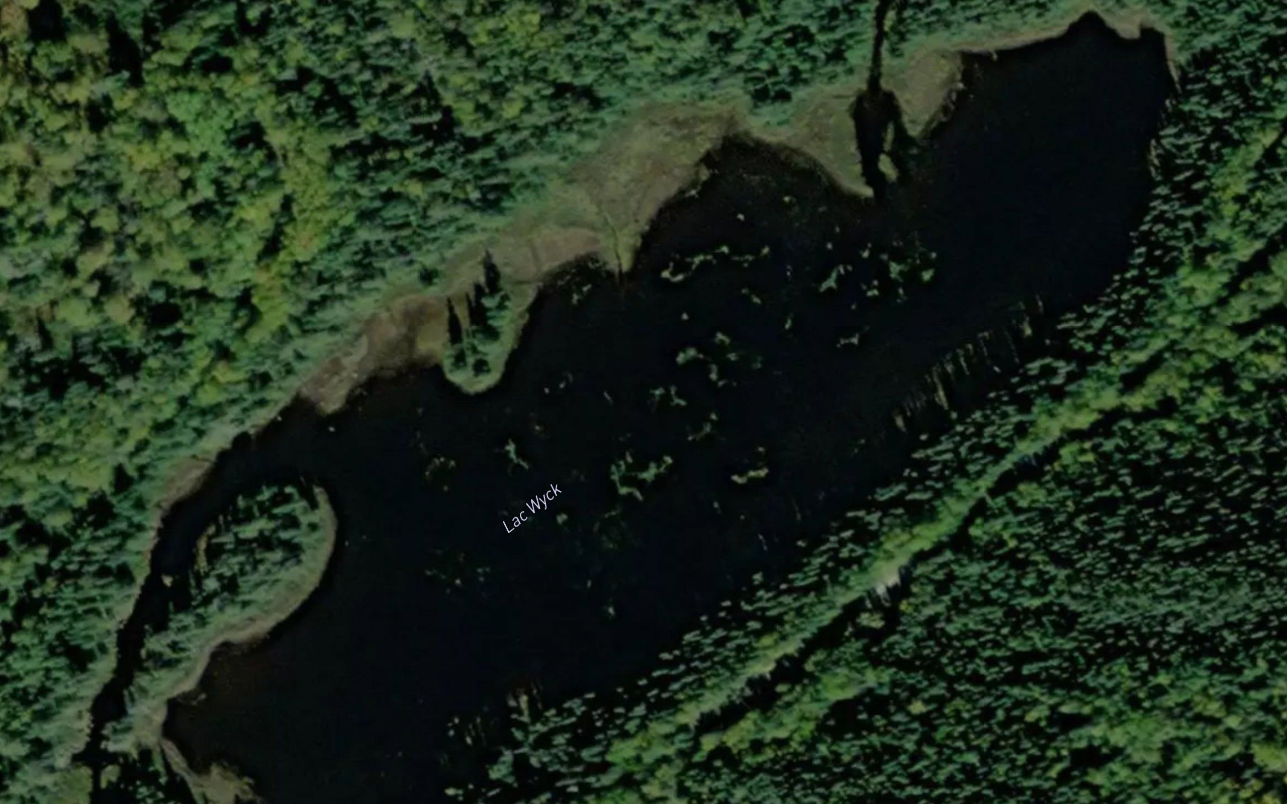 Lac Wyck