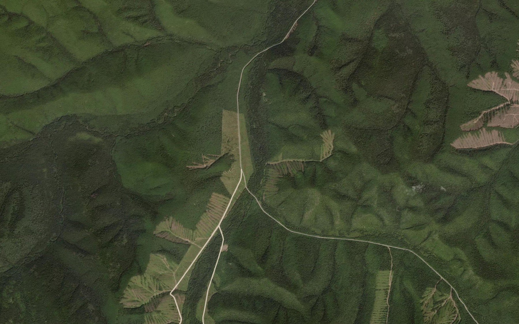 Satellite map of the Svetlyy