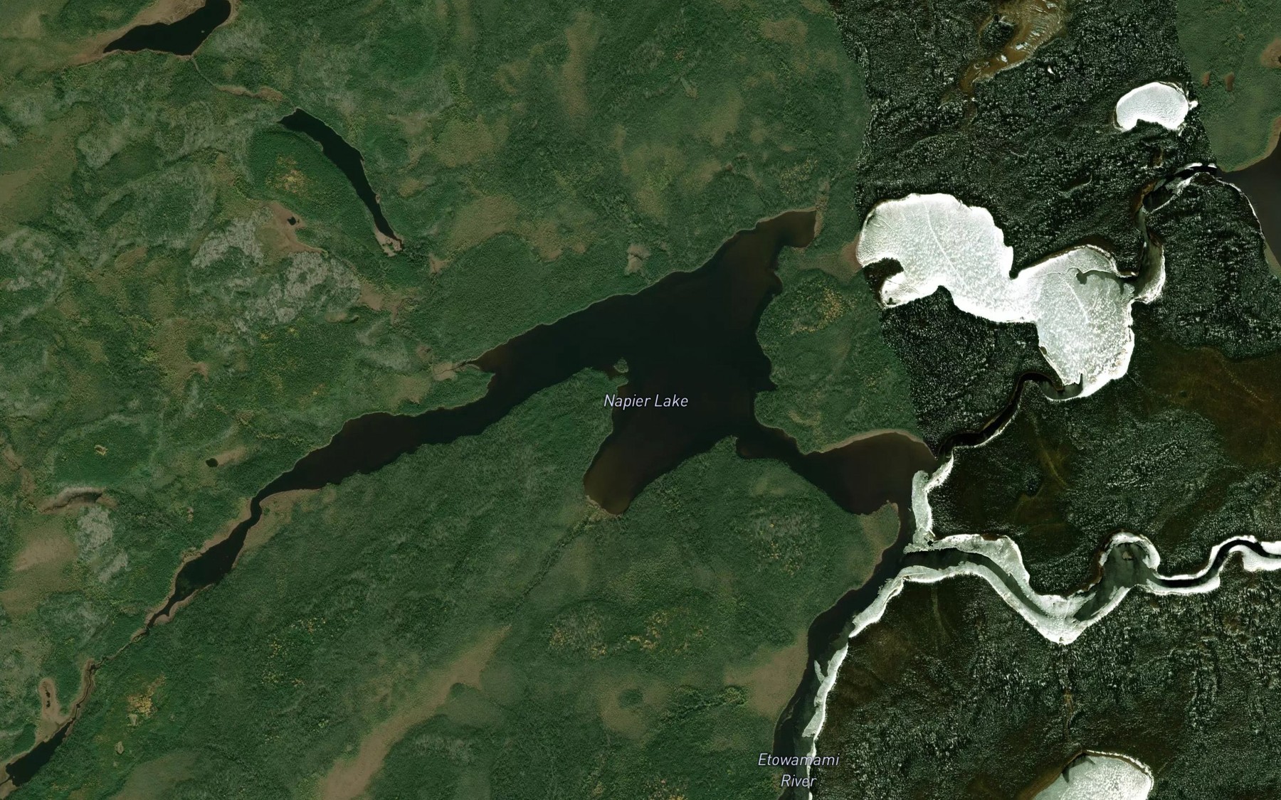 Satellite map of the Napier Lake