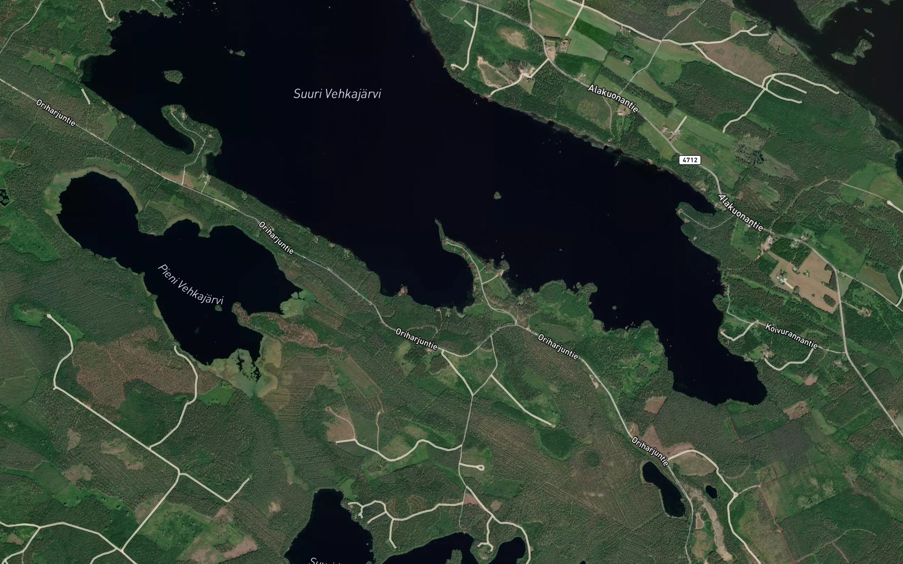 Satellite map of the Saaslahti