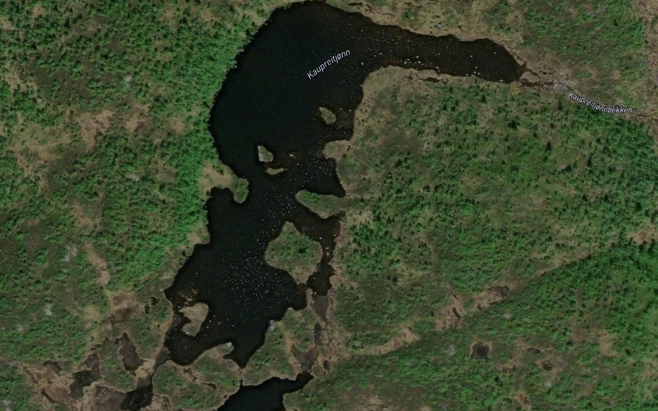 Kaupreitjorn