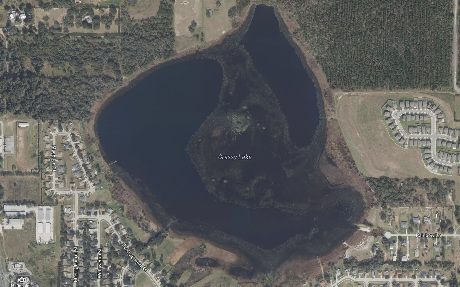 Satellite map of the Grassy Lake