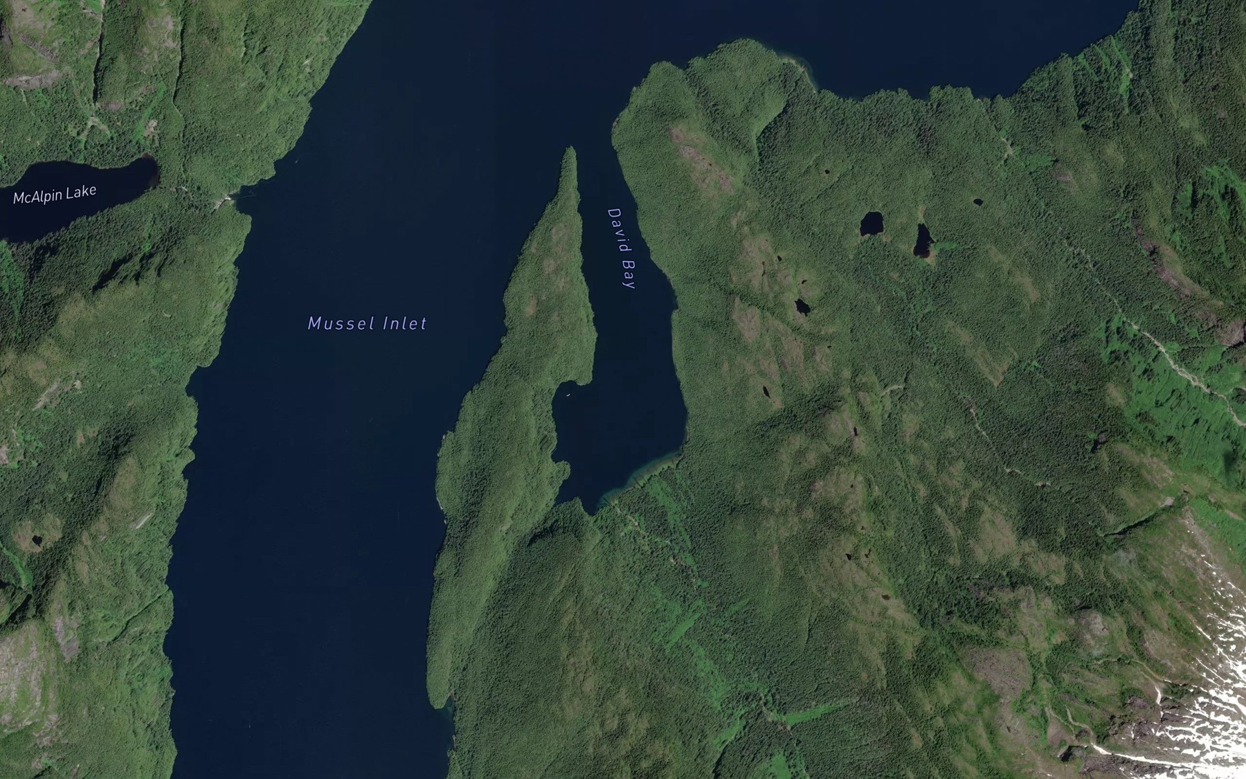 Satellite map of the David Bay
