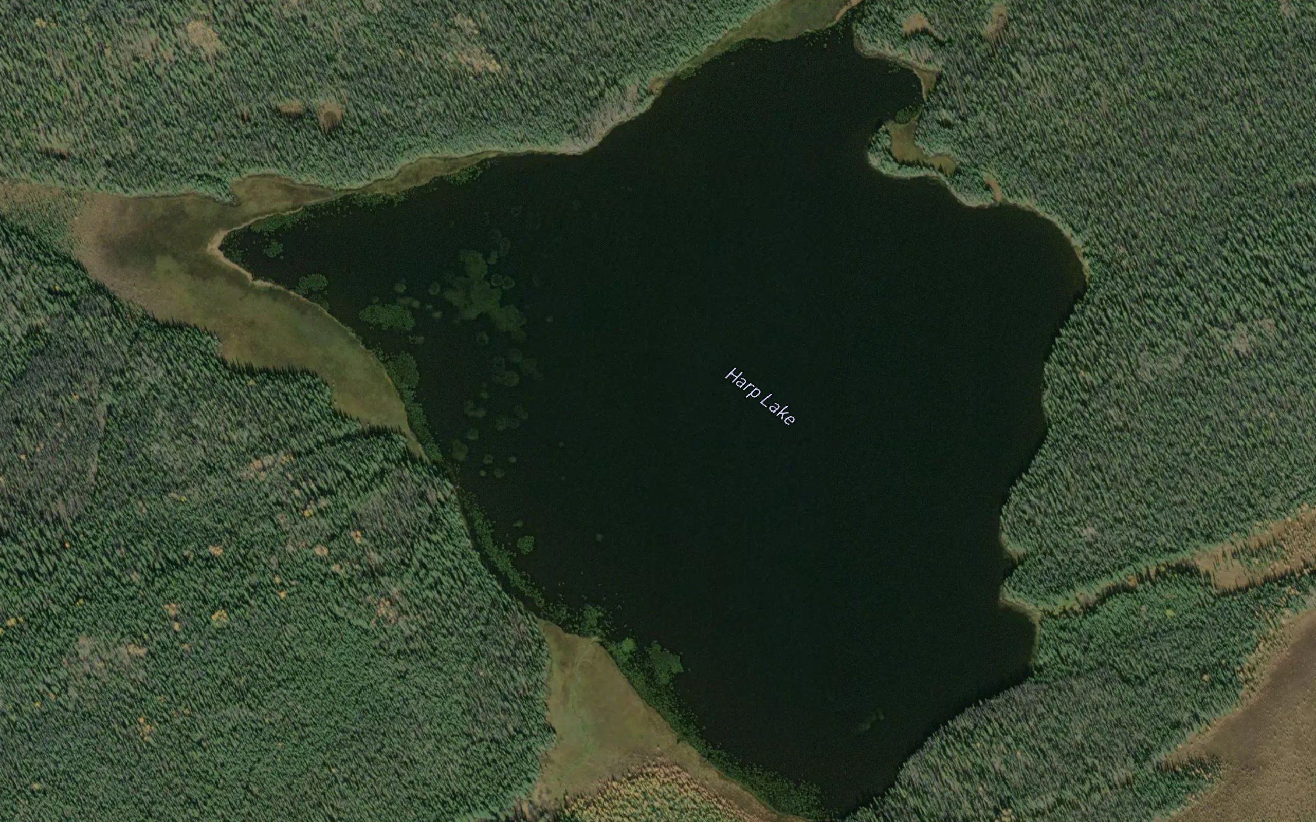 Harp Lake