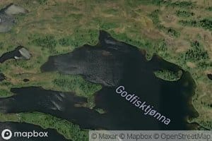 Godfisktjorna