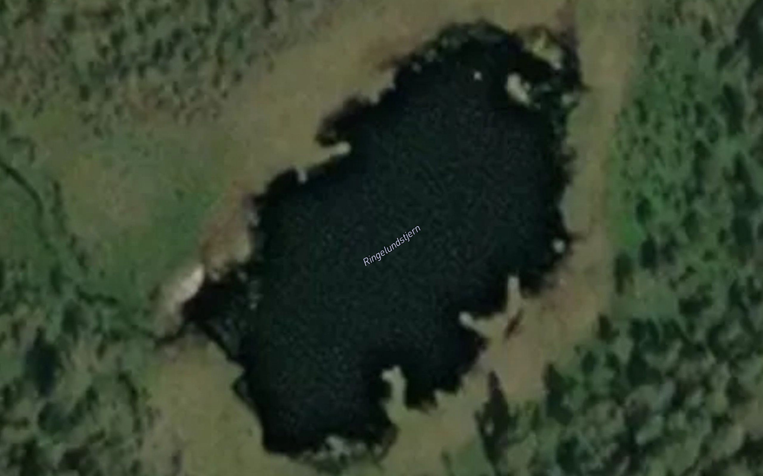Ringlundstjern
