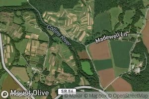 Cove Hollow Creek
