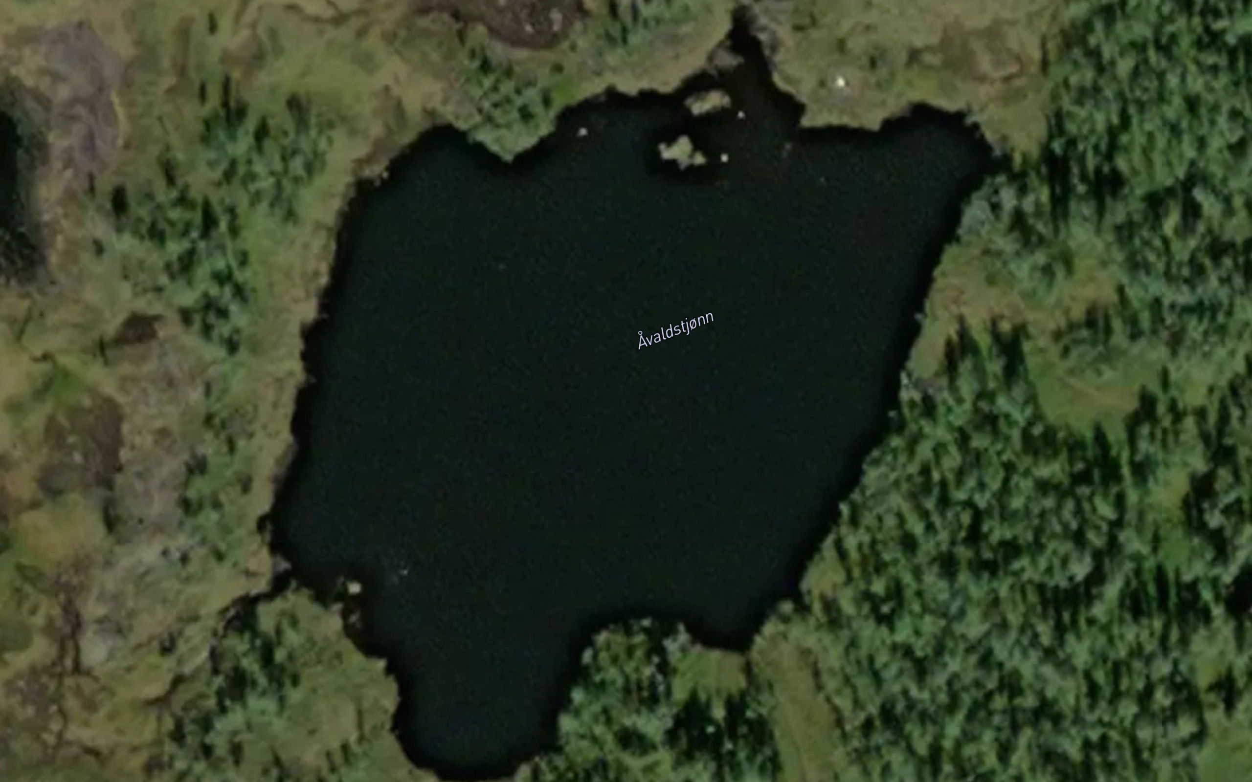Avaldstjorni