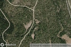 Tamarack Springs