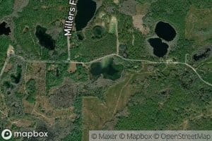Grassy Pond