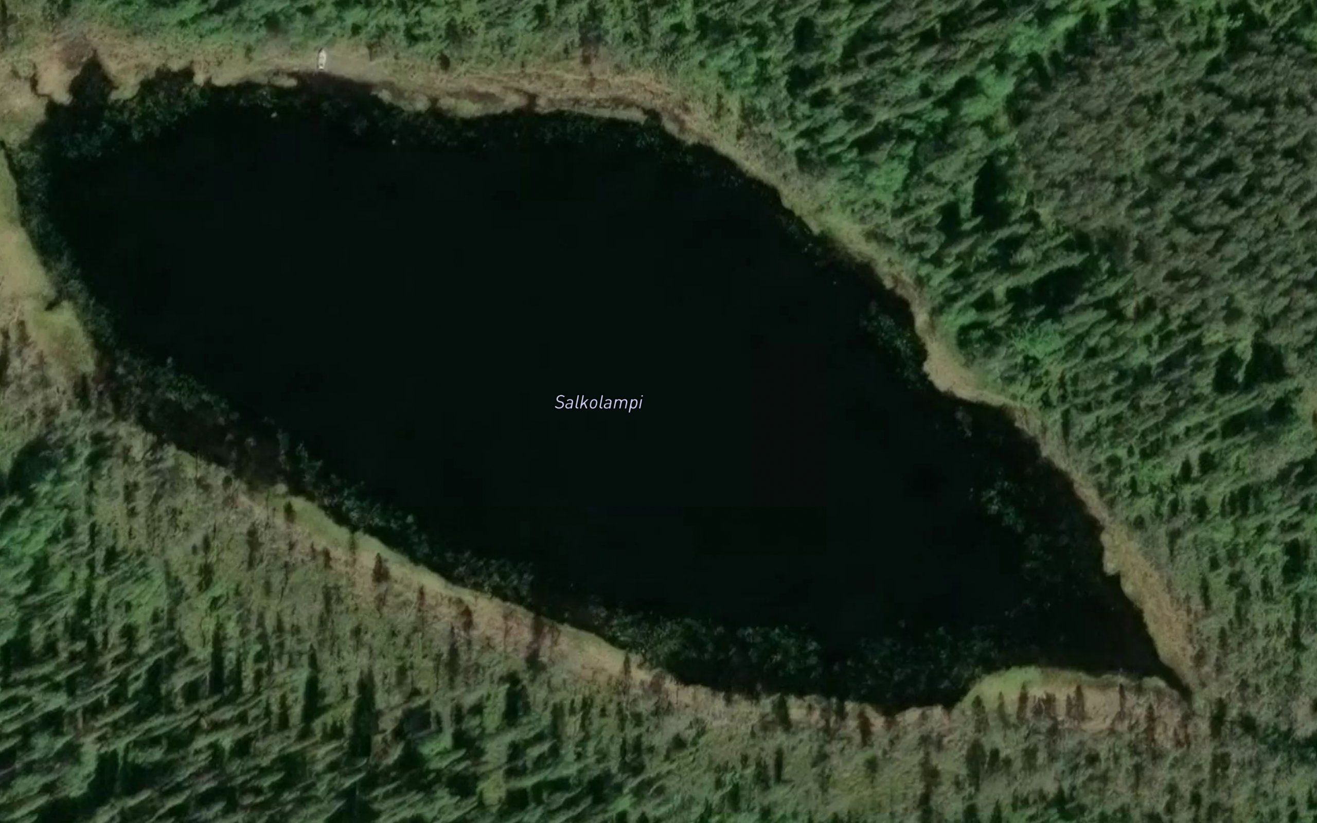 Salkolampi