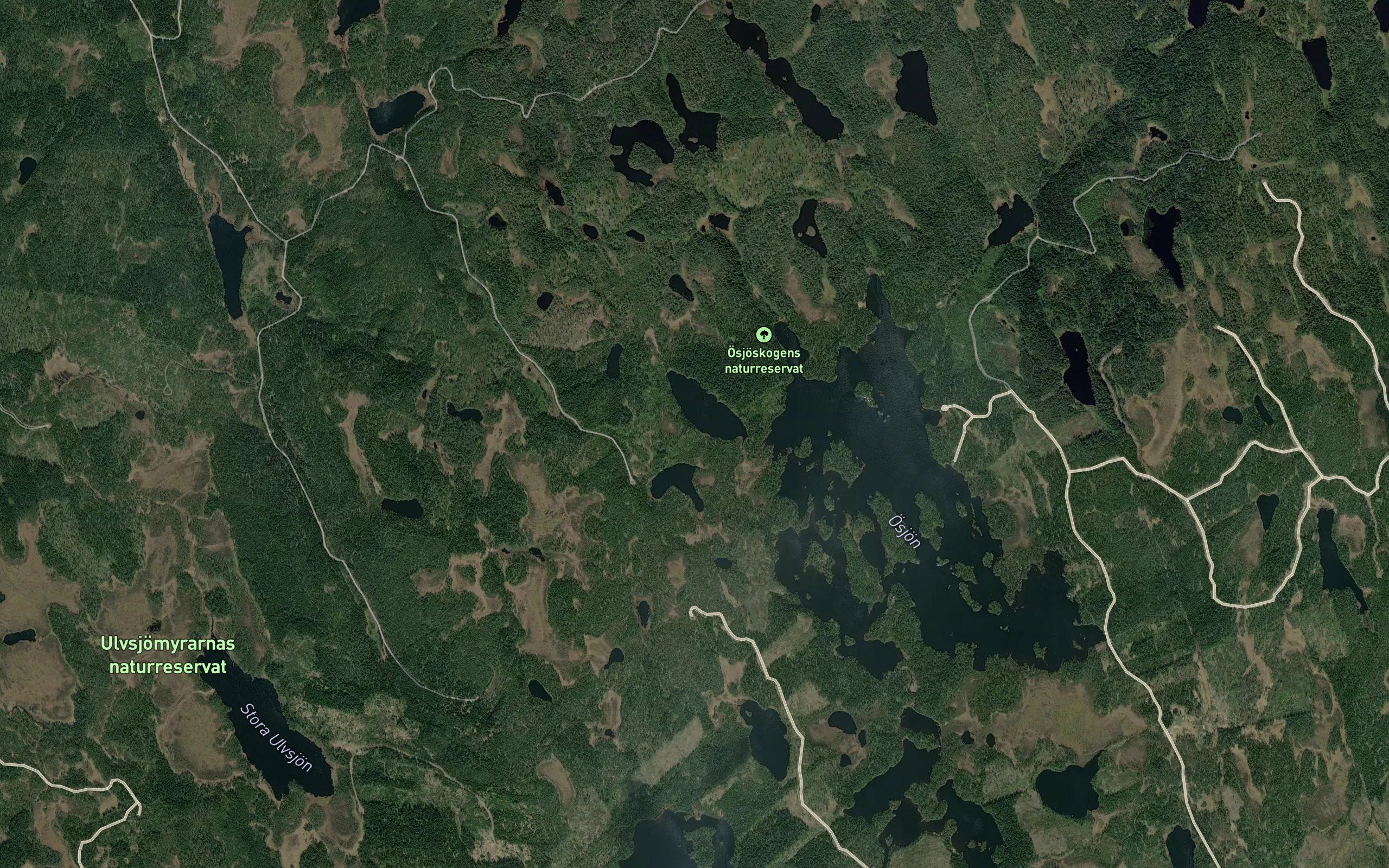 Osjon