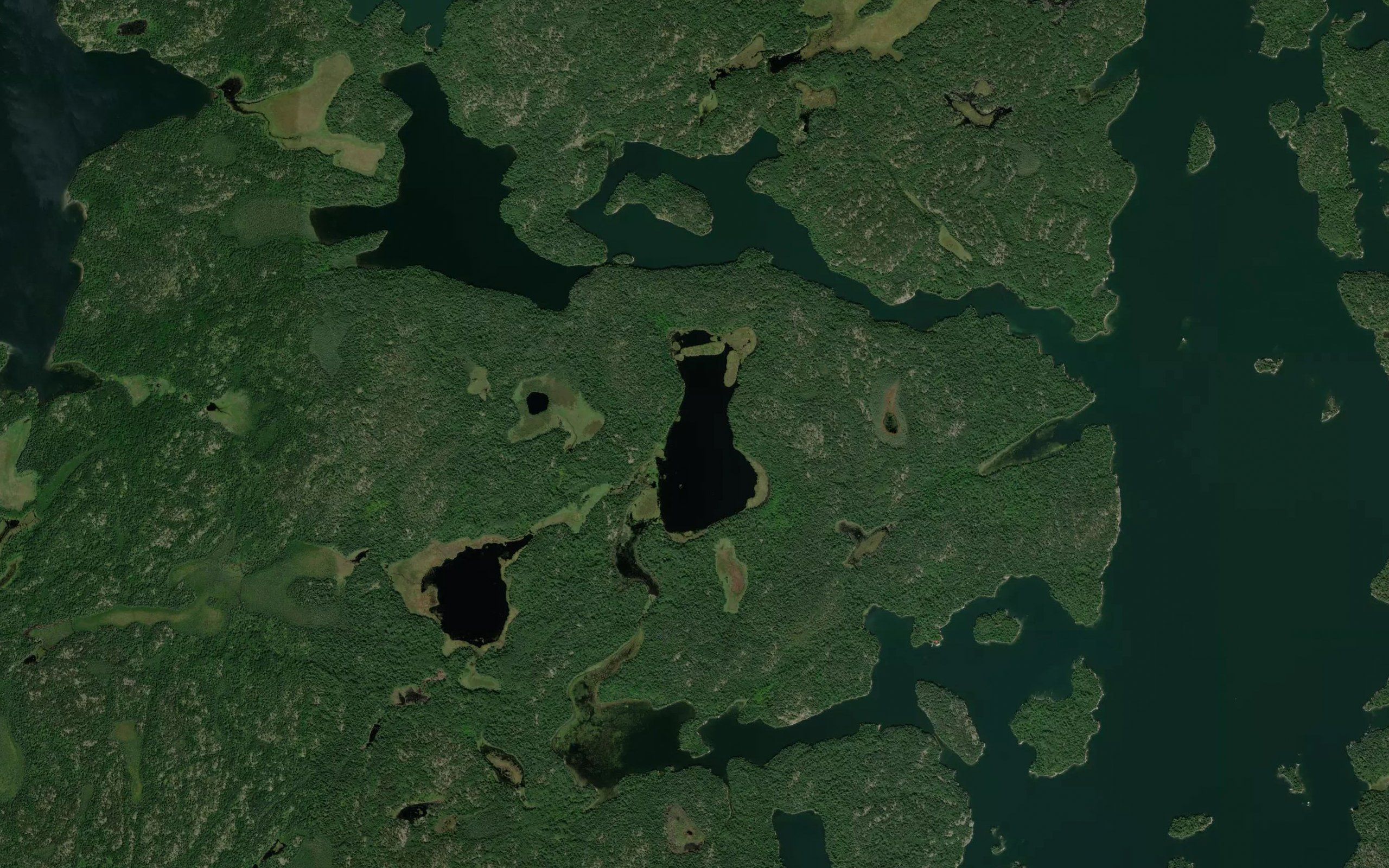 Victor Lake