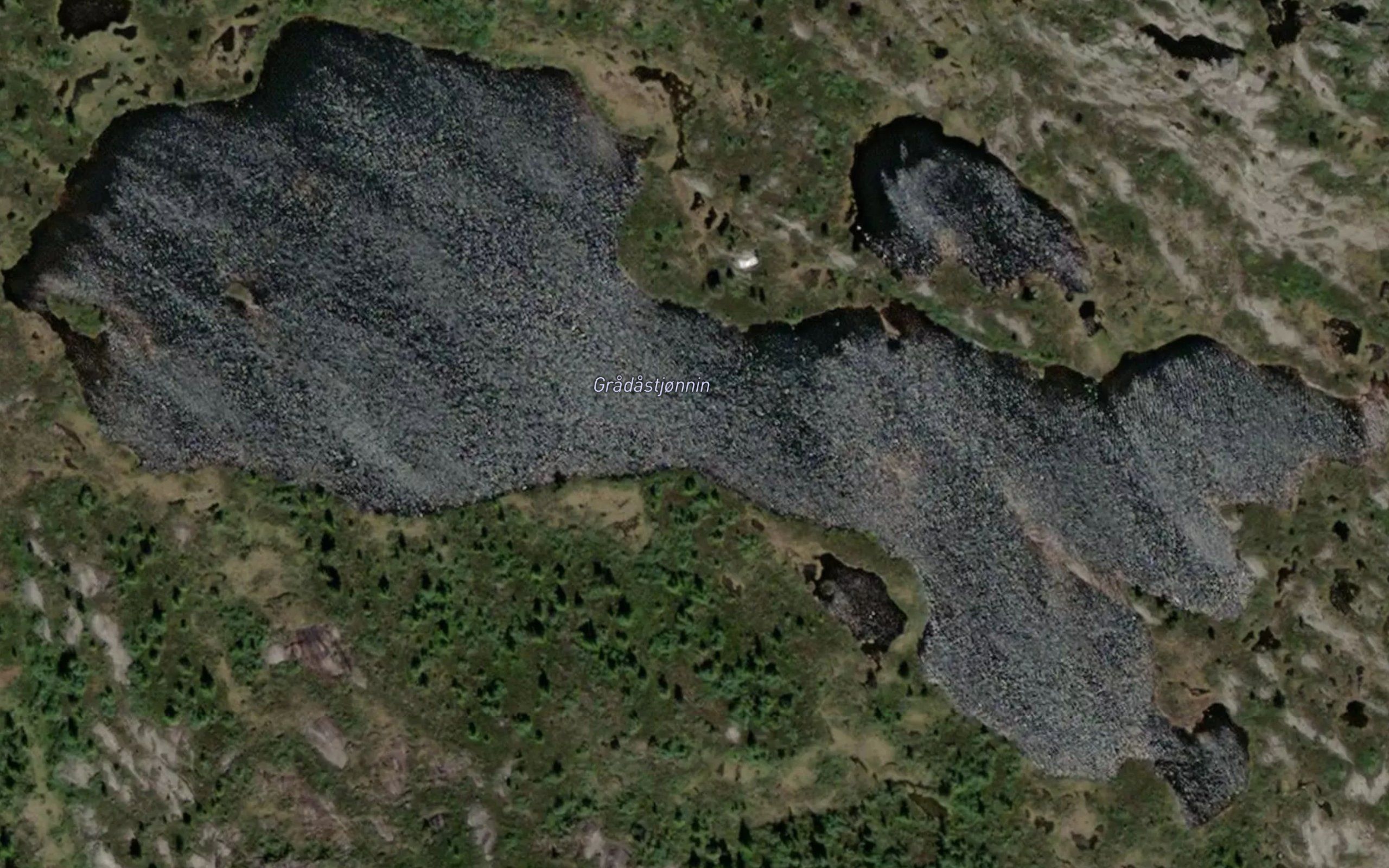 Groestjorn