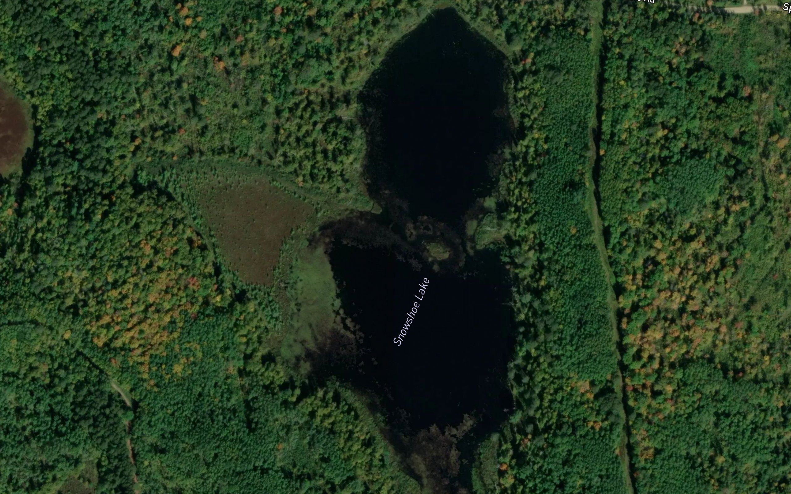 Snowshoe Lake