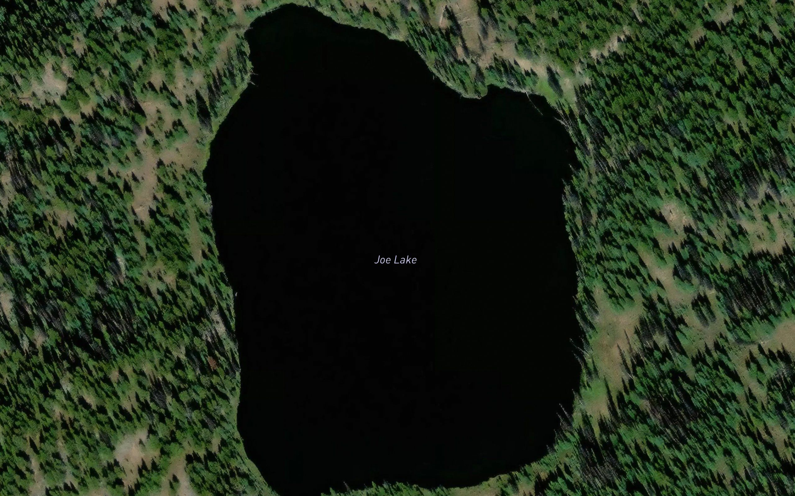 Joe Lake