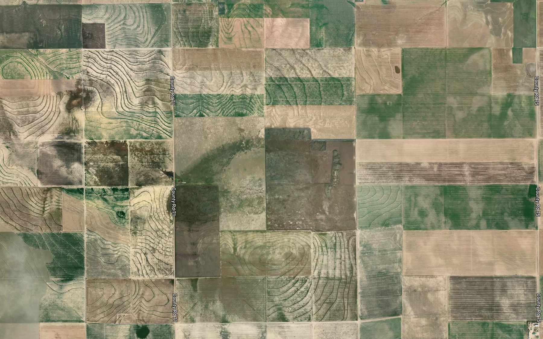 Satellite map of the Lake Albert