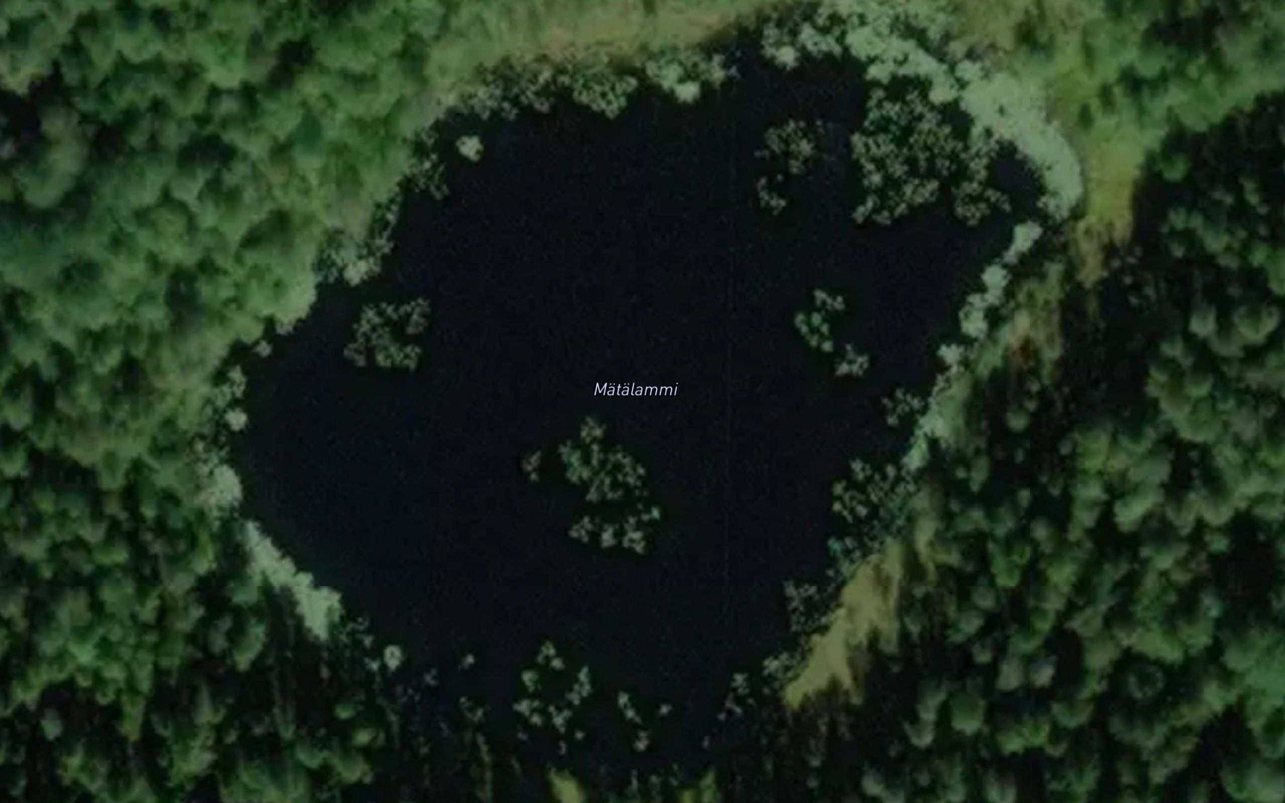 Matalammi