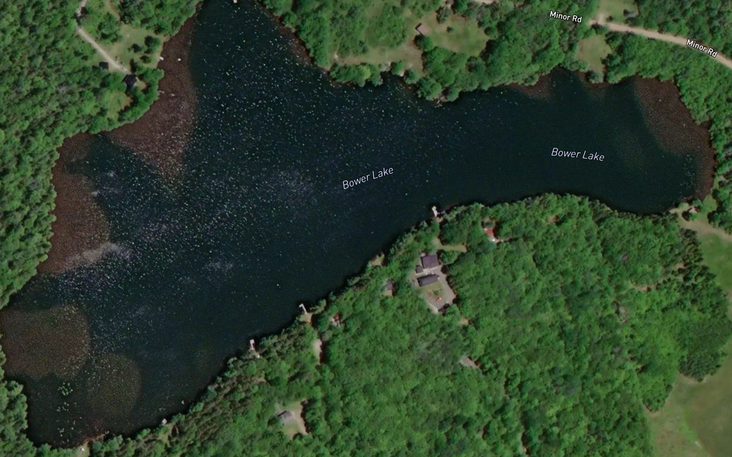 Bower Lake