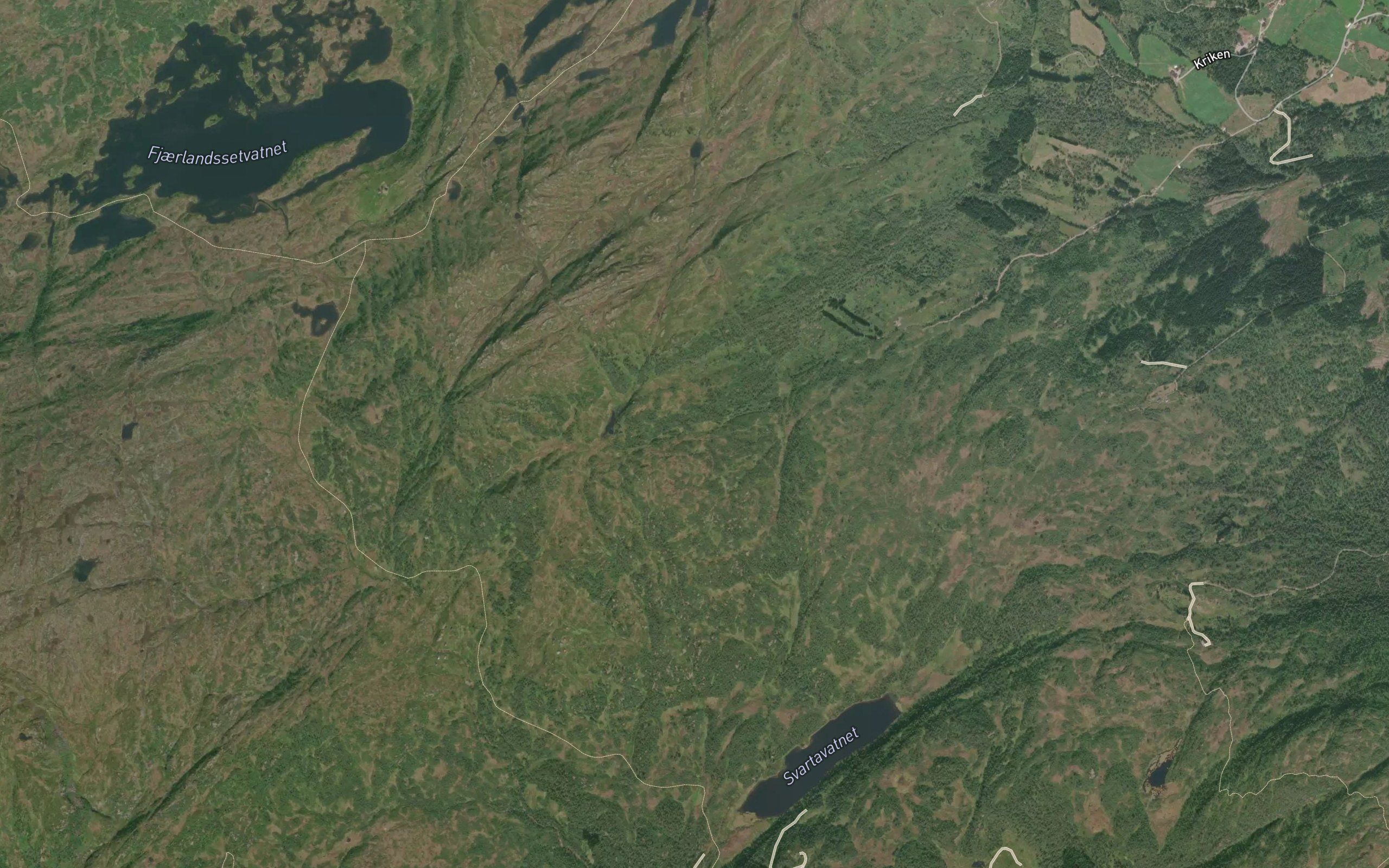 Drevdalsgrovi