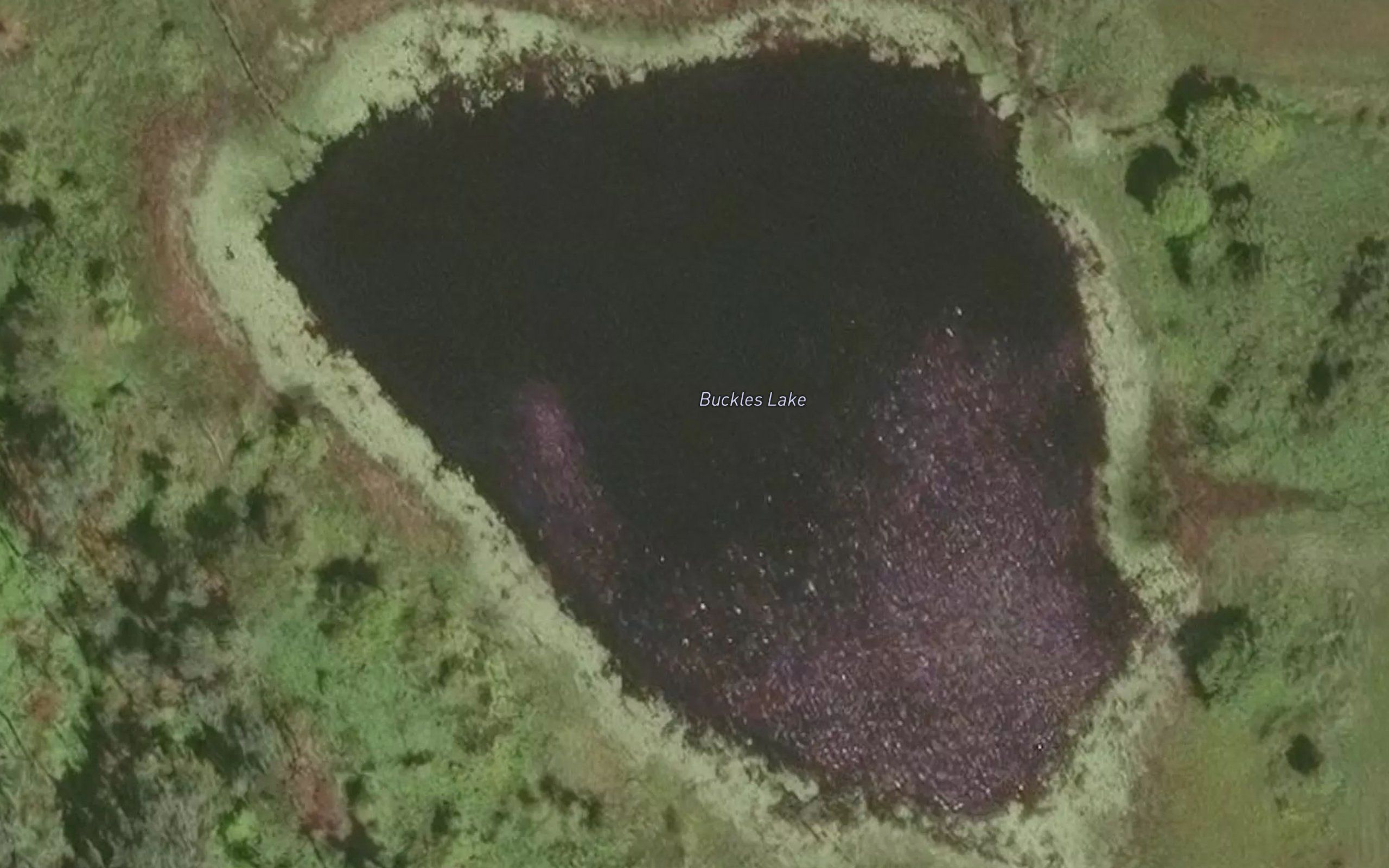 Buckles Lake