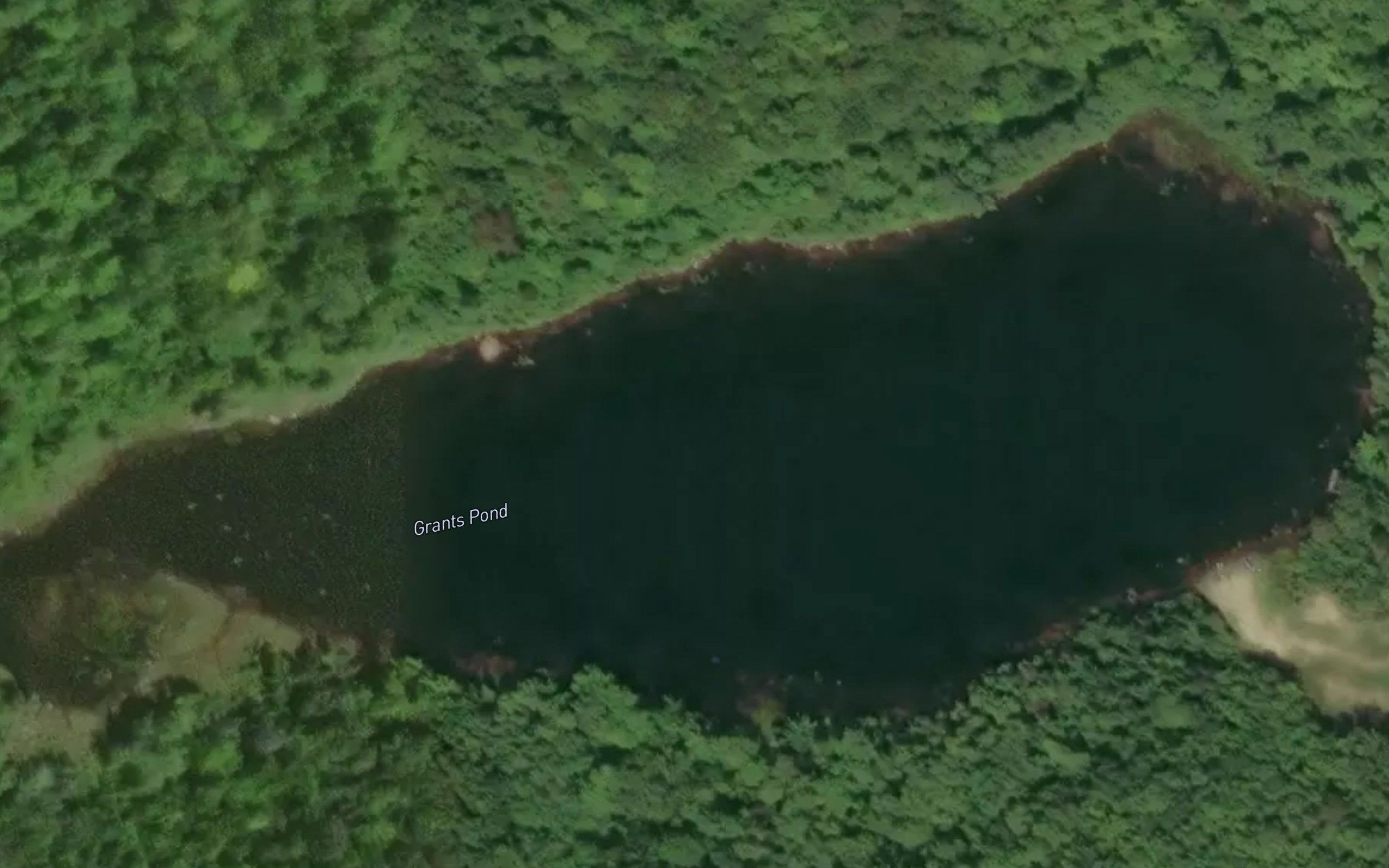 Grants Pond