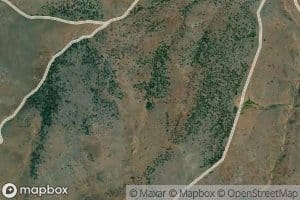 Coyote Spring