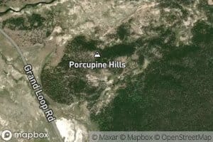 Quagmire Group Springs