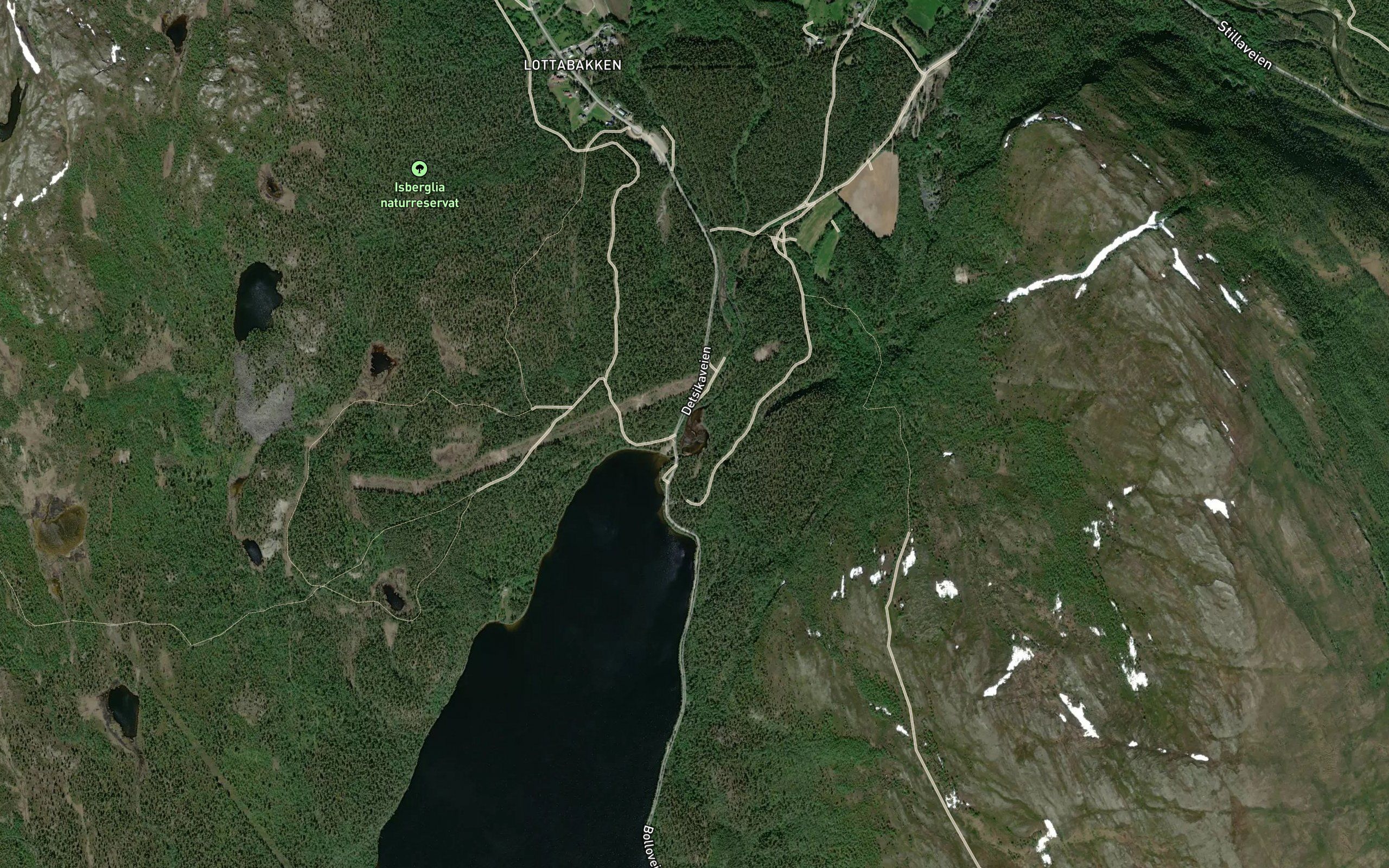 Damtjorna