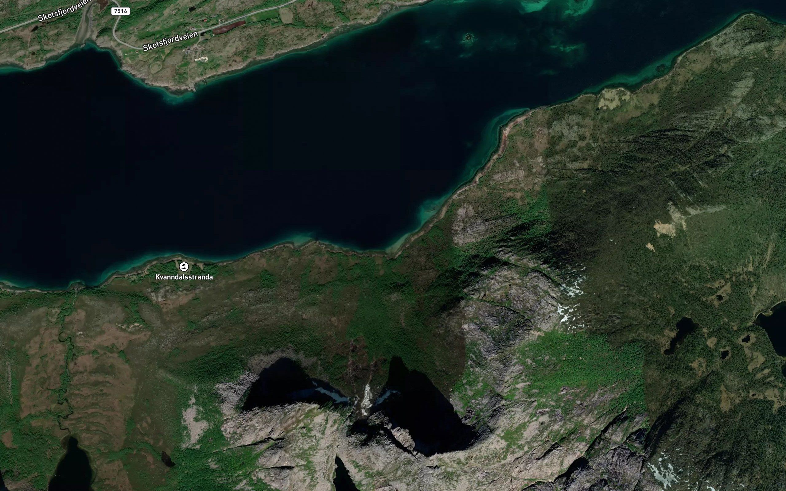 Juvika