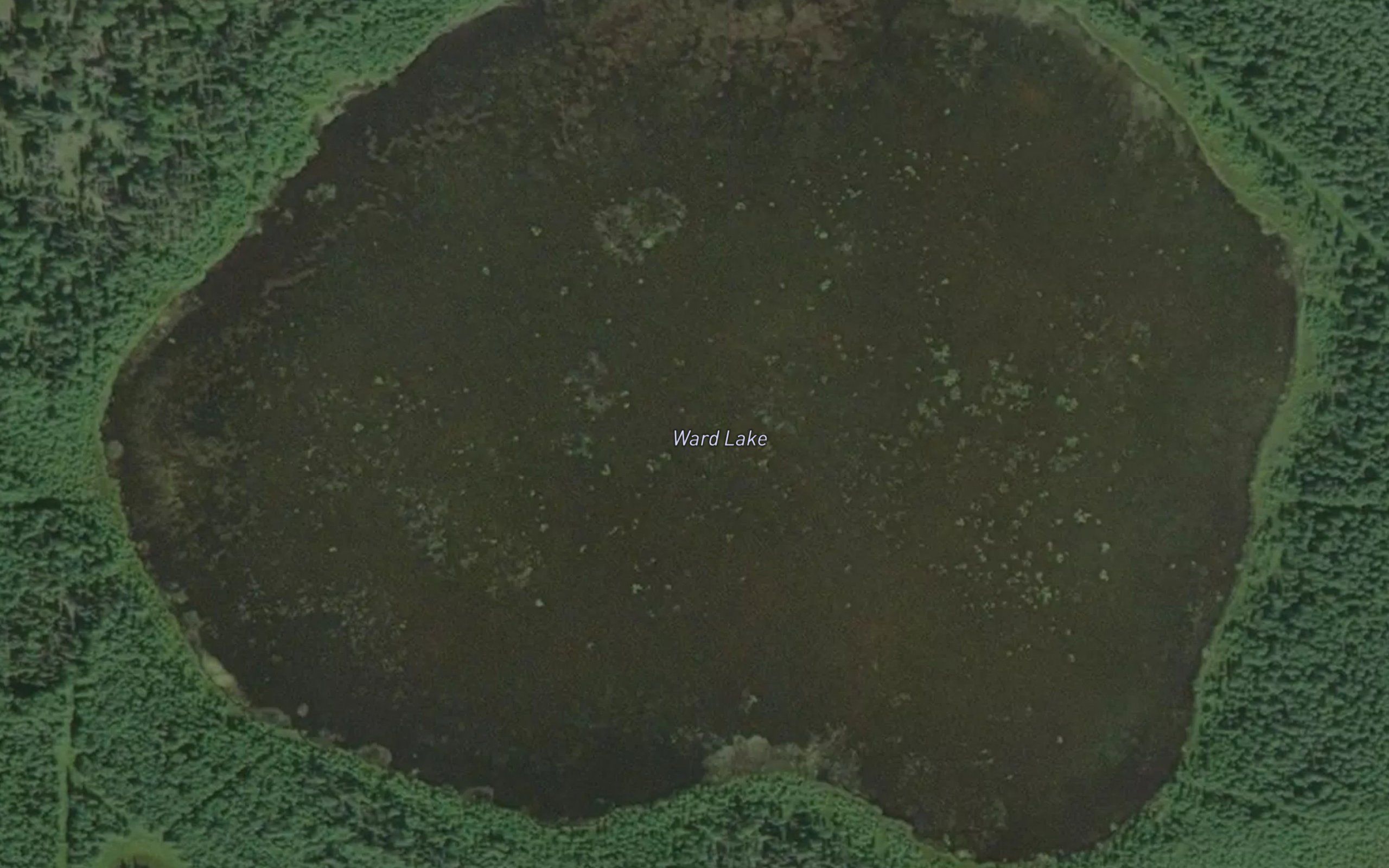 Ward Lake