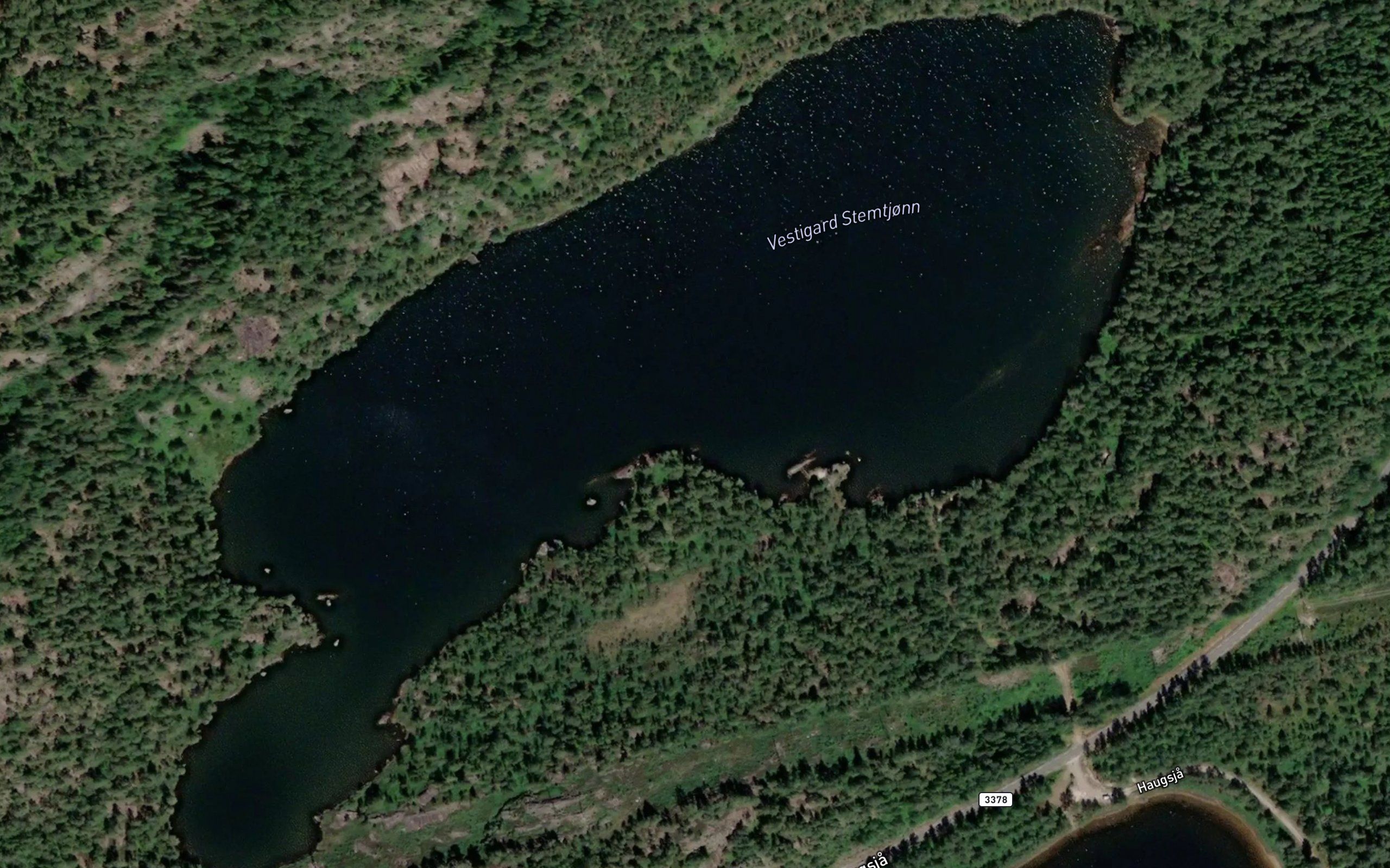 Vestigard-Stemtjorn