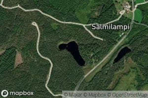 Valkealampi