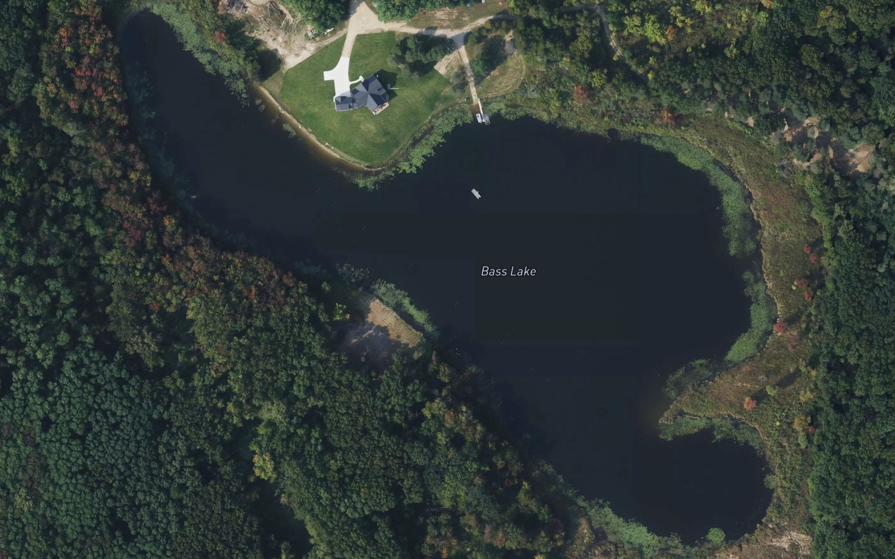 Satellite map of the Bass Lake