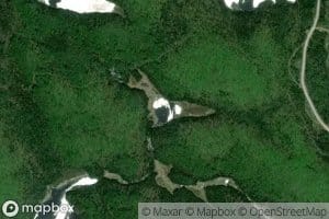 Lac Mesoglee