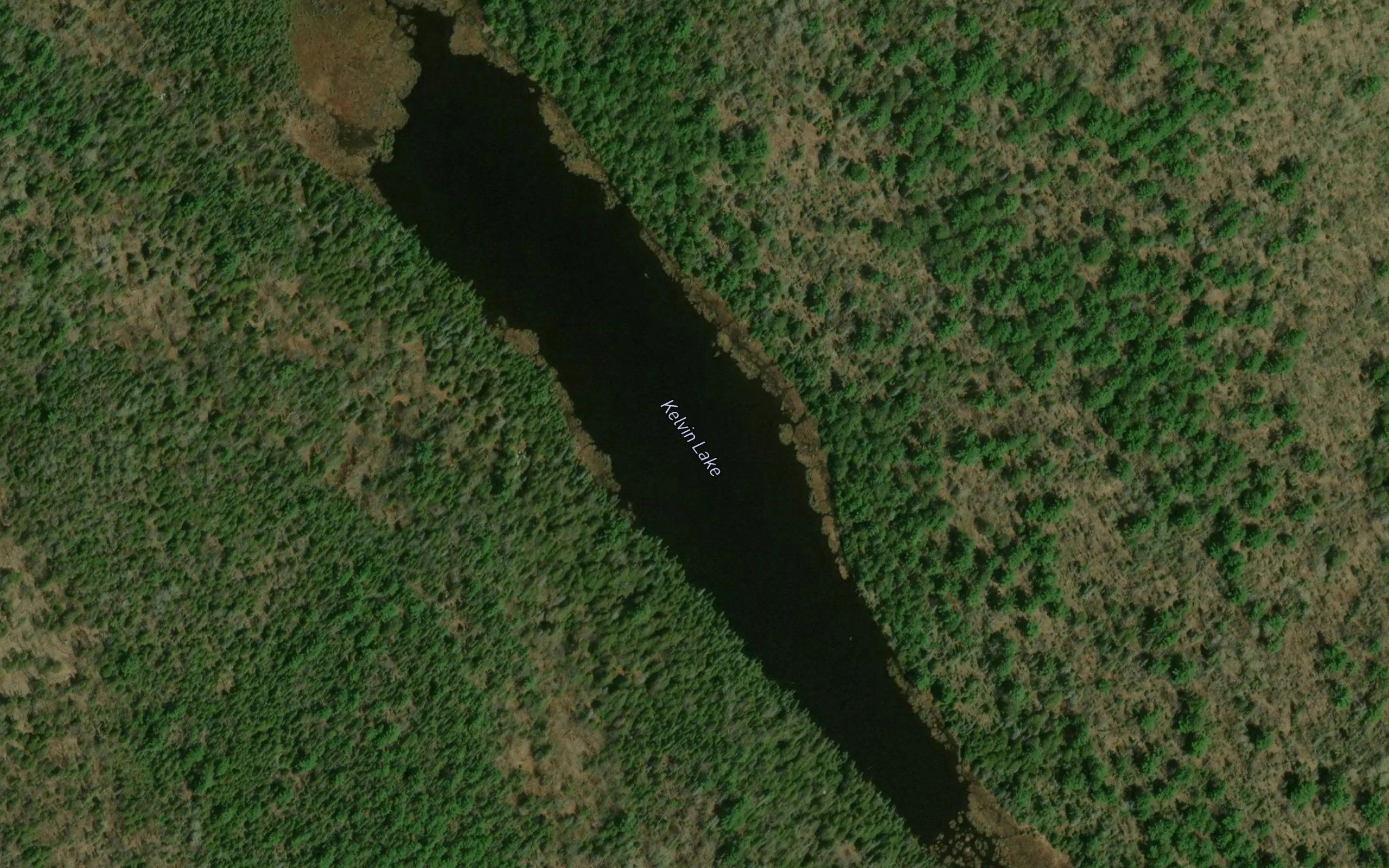 Kelvin Lake