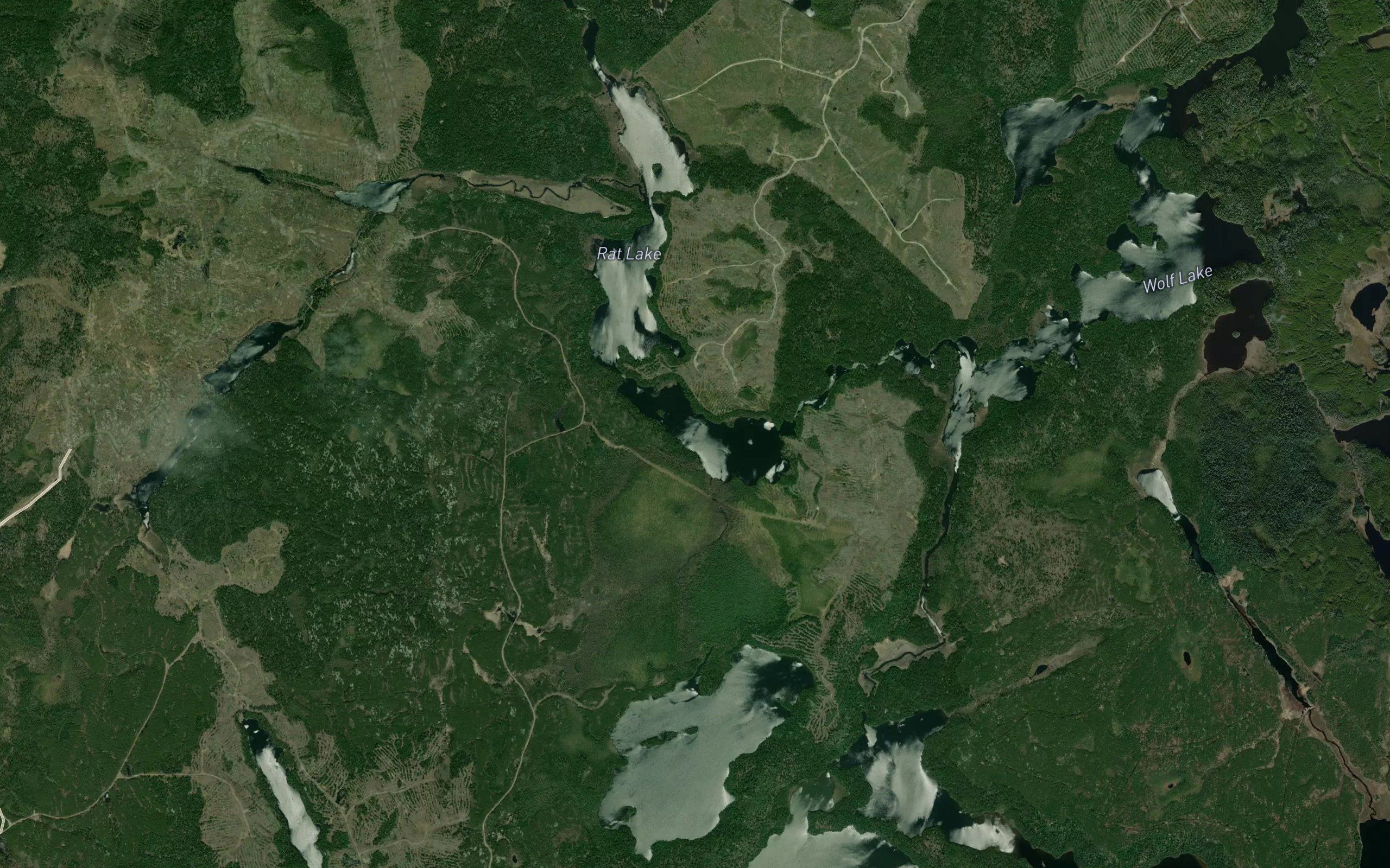 Mouse Lake
