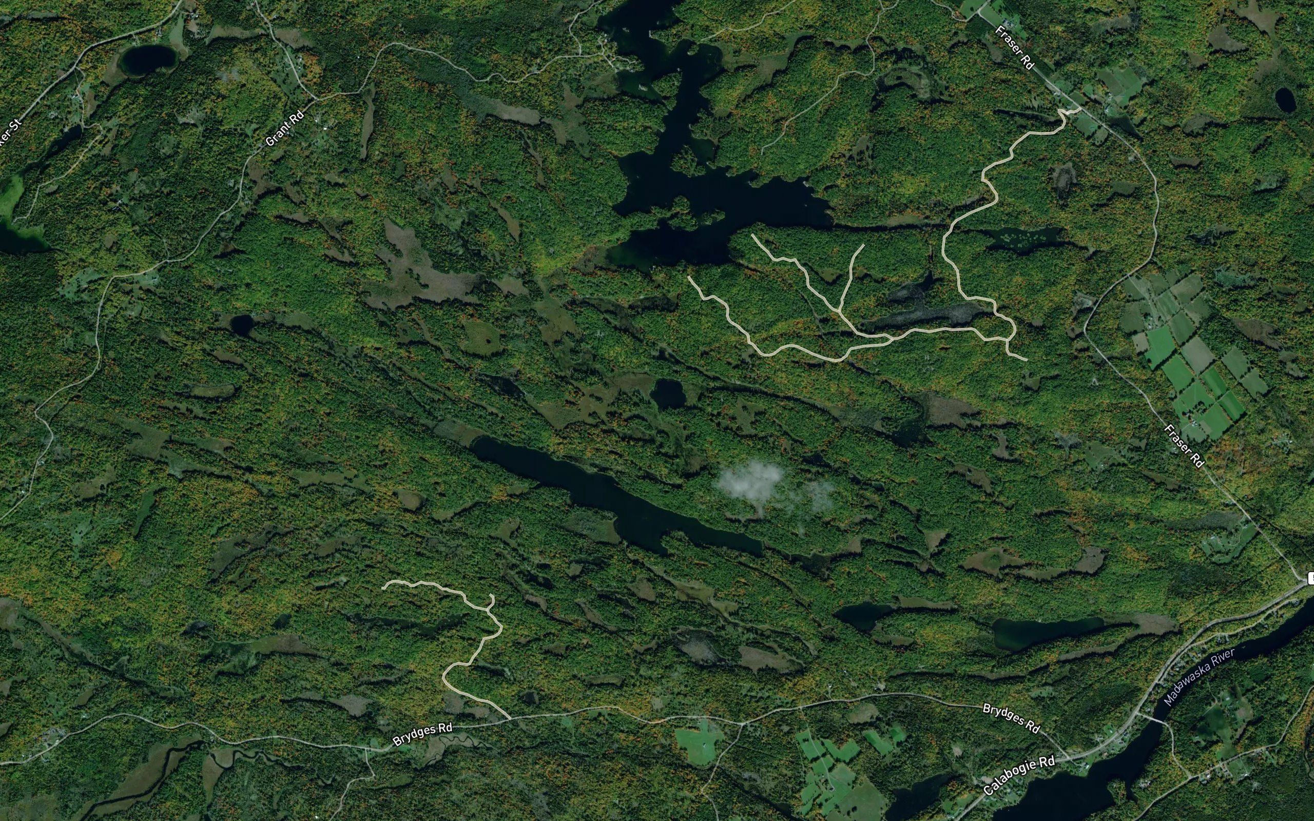 Black Lake
