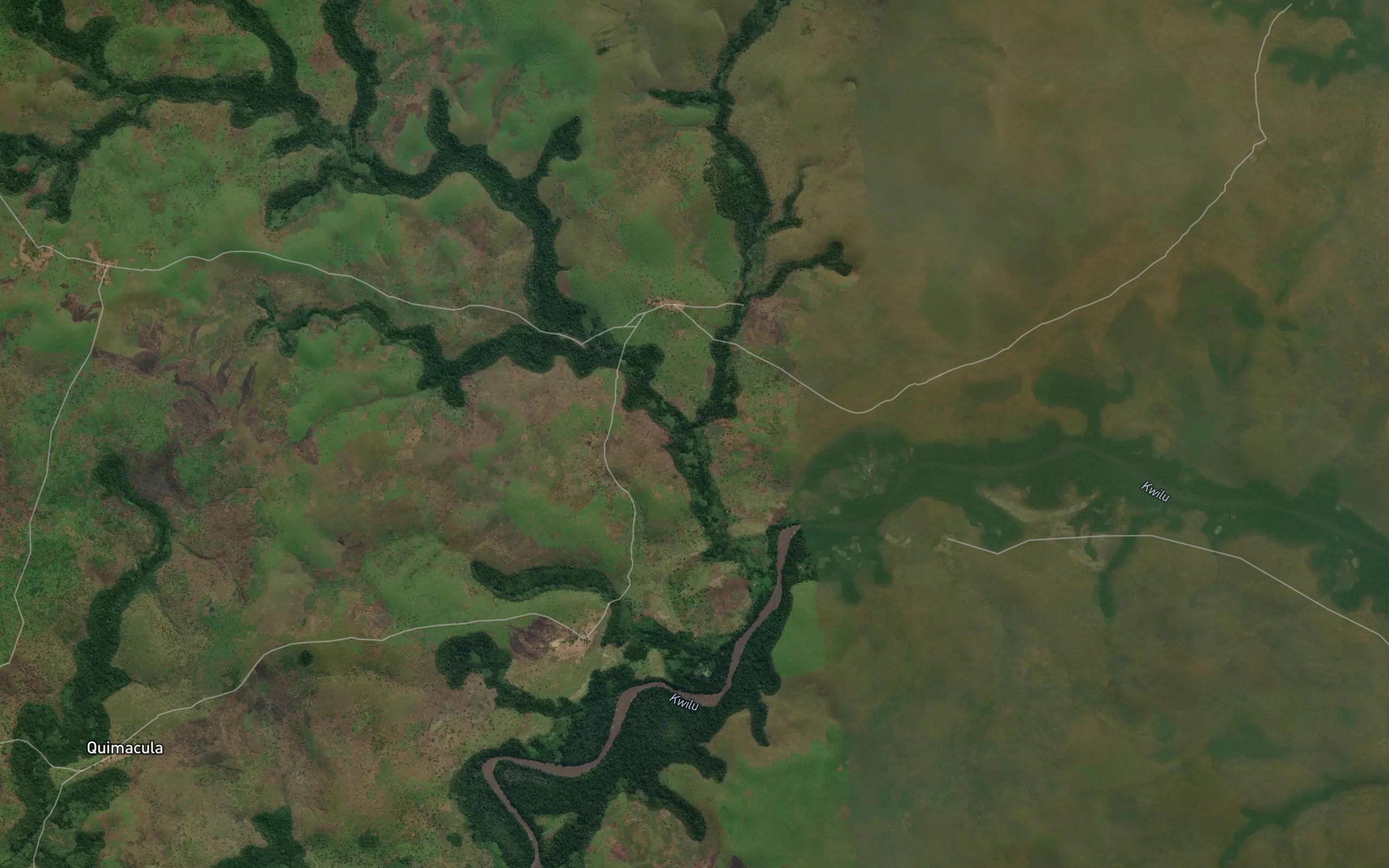 Nguindo