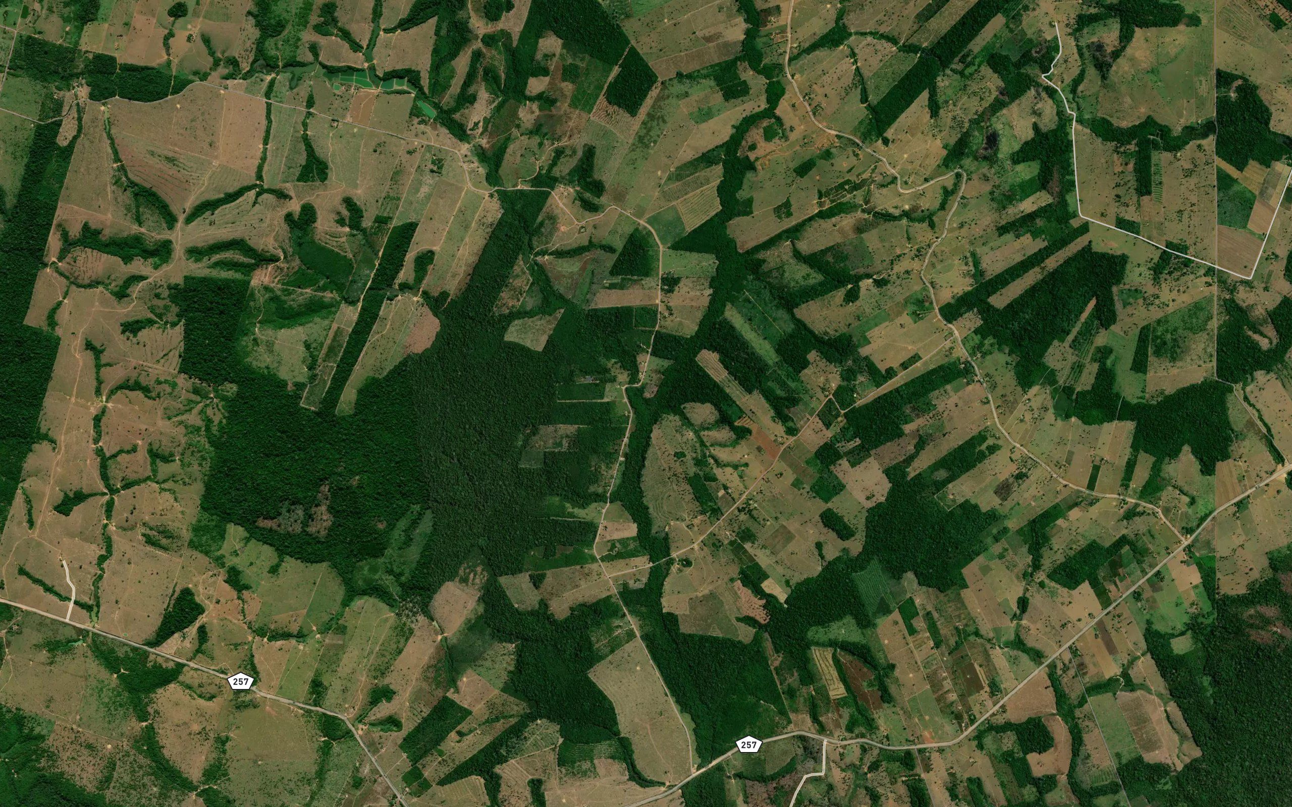 Igarape Rio Branco
