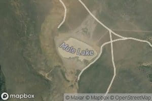 Mule Lake