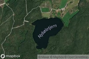 Nyboletjern