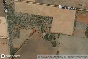 White Elephants Tank