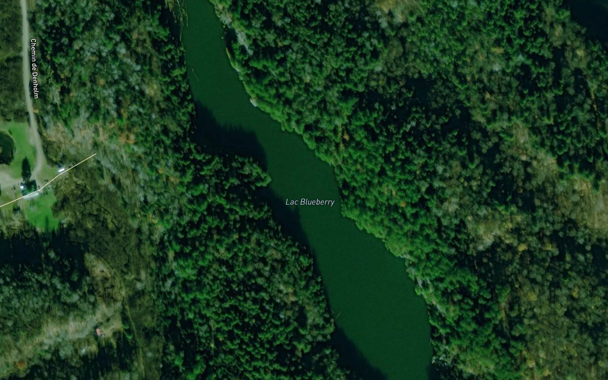 Lac Blueberry