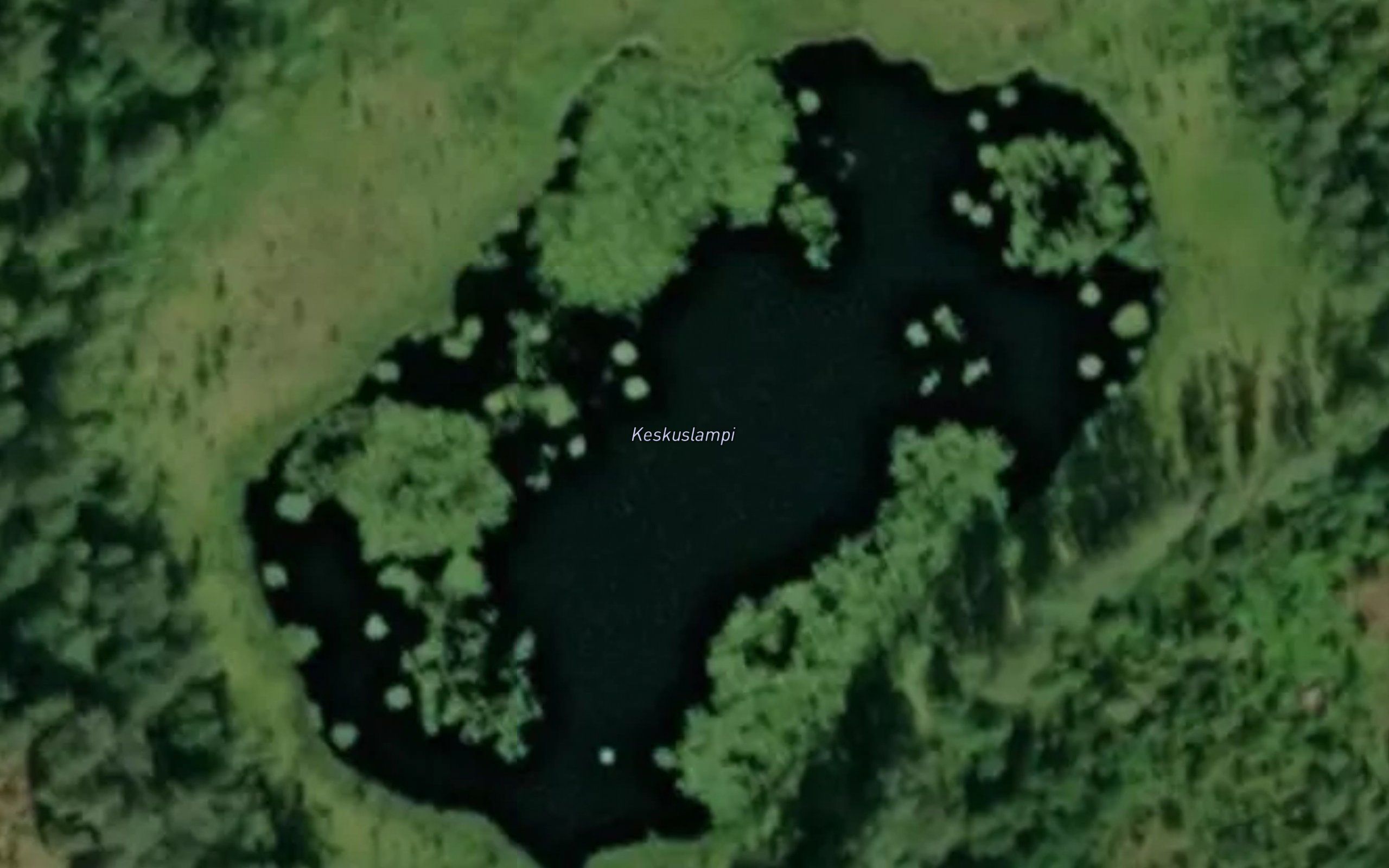 Keskuslampi