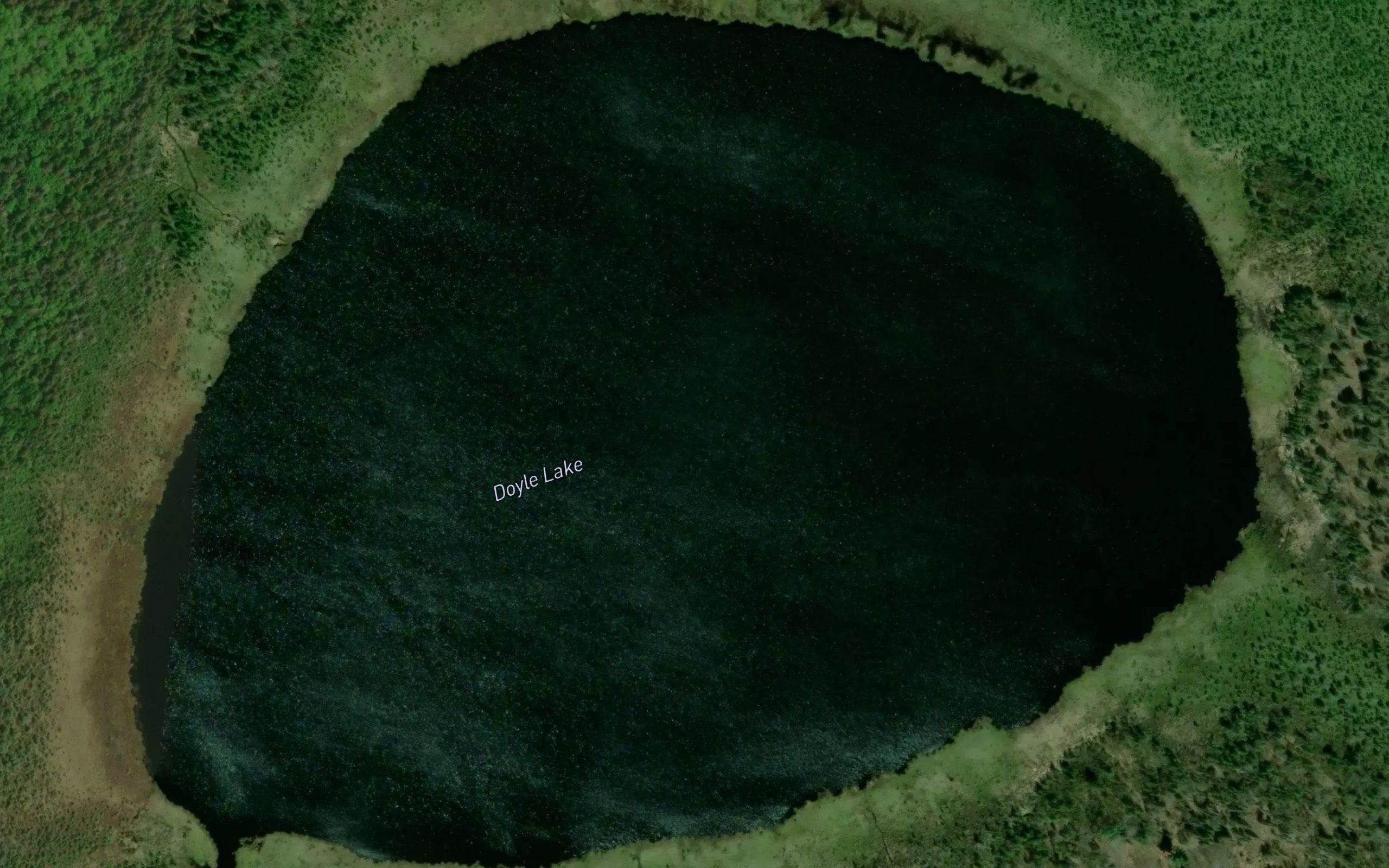 Doyle Lake