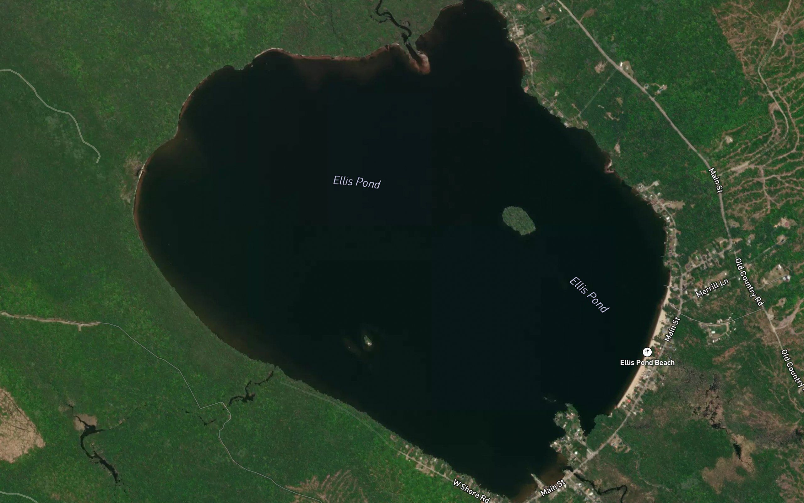 Ellis Pond