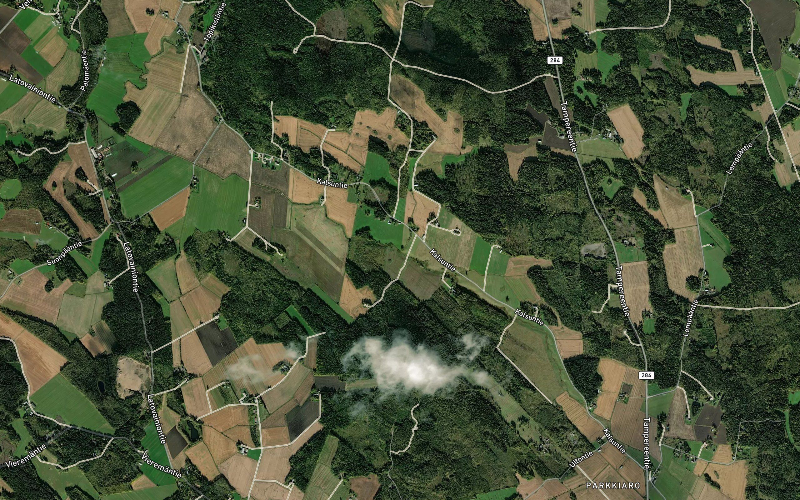Jutunoja